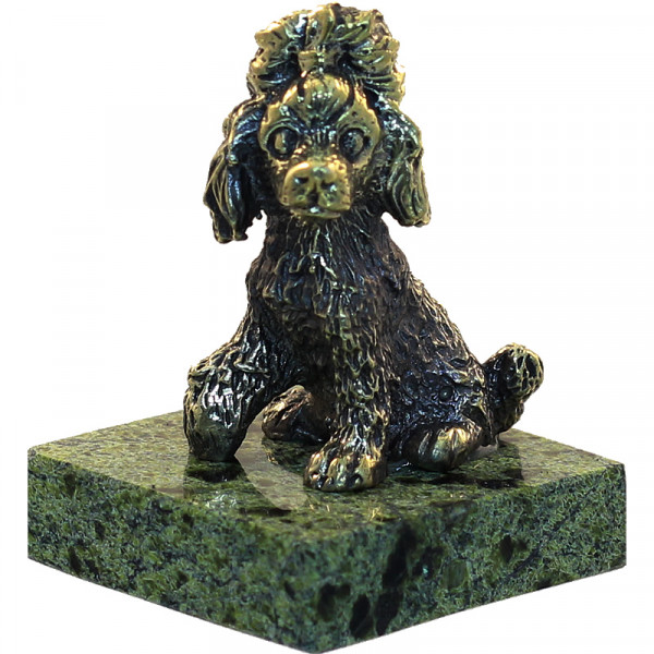 224028 - Собака Пудель сидящий